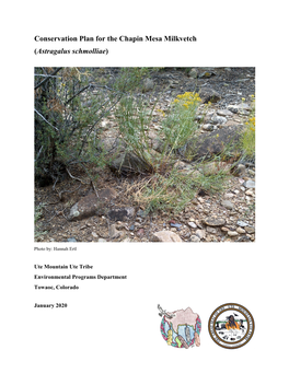 Conservation Plan for the Chapin Mesa Milkvetch (Astragalus Schmolliae)