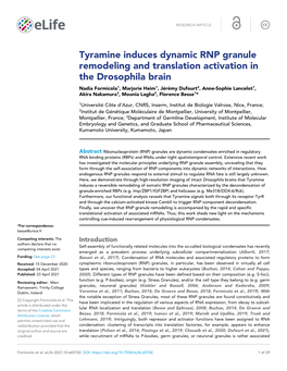 Tyramine Induces Dynamic RNP Granule Remodeling And