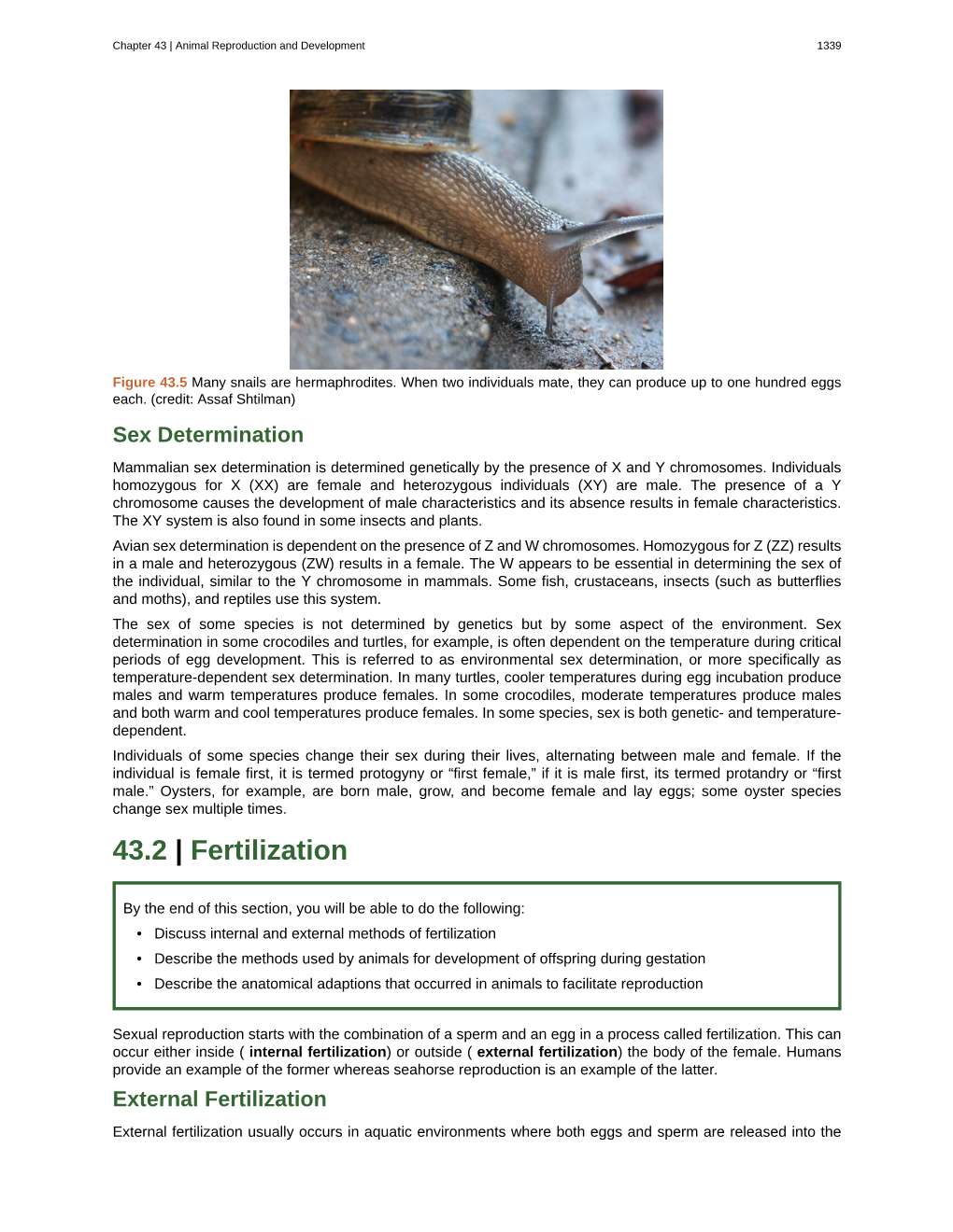 43.2 Fertilization.Pdf