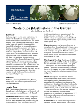Cantaloupe (Muskmelon) in the Garden Rick Hefelbower and Dan Drost