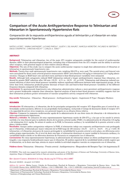 Comparison of the Acute Antihypertensive Response to Telmisartan and Irbesartan in Spontaneously Hypertensive Rats