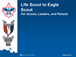 Life Scout to Eagle Scout for Scouts, Leaders, and Parents