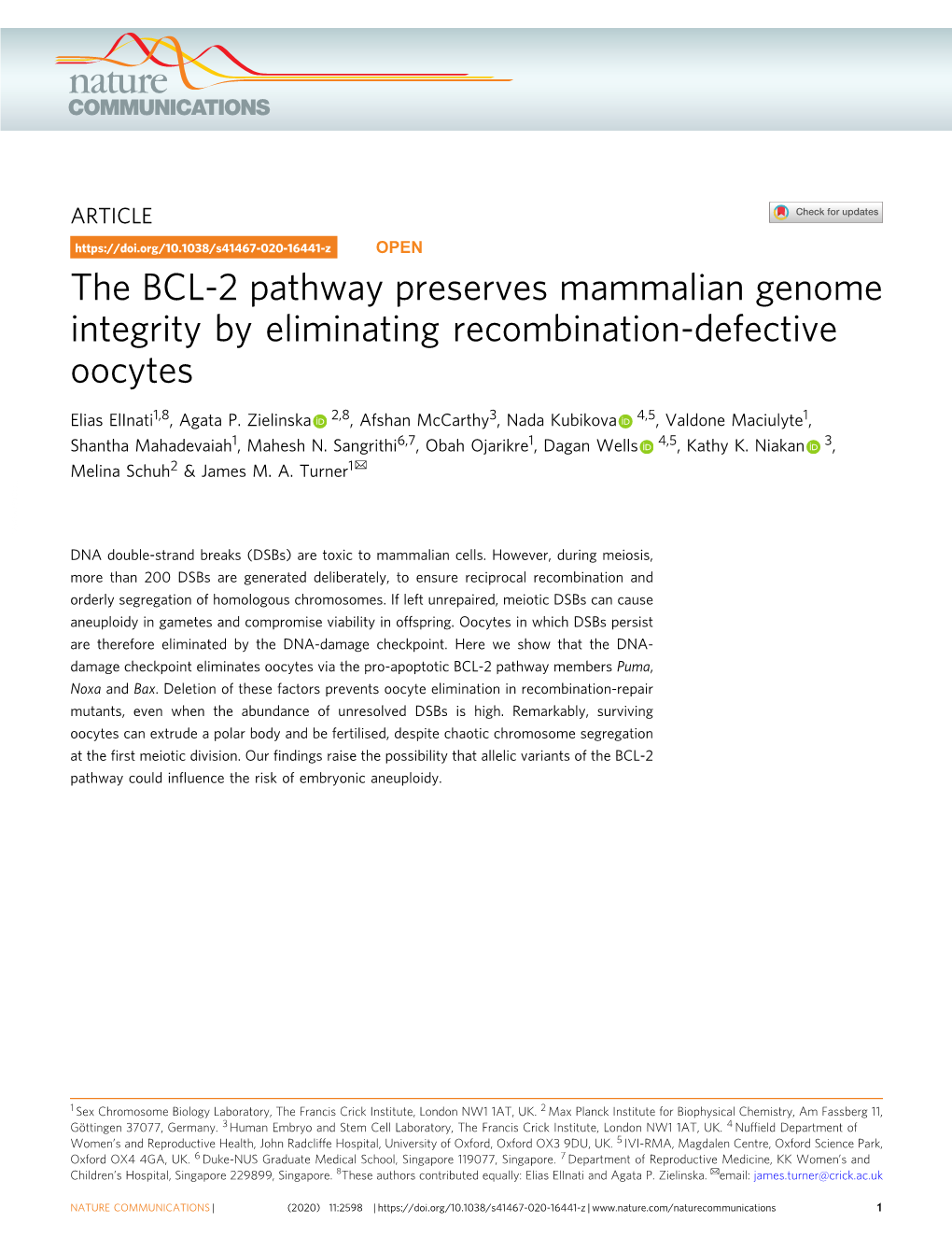 The BCL-2 Pathway Preserves Mammalian Genome Integrity by Eliminating Recombination-Defective Oocytes