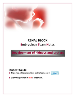 RENAL BLOCK Embryology Team Notes Development of Kidneys And