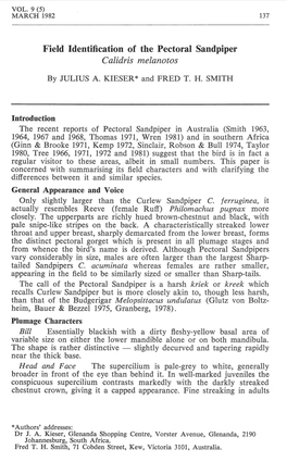 Field Identification of the Pectoral Sandpiper Calidris Melanotos