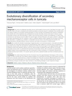 Evolutionary Diversification of Secondary Mechanoreceptor Cells