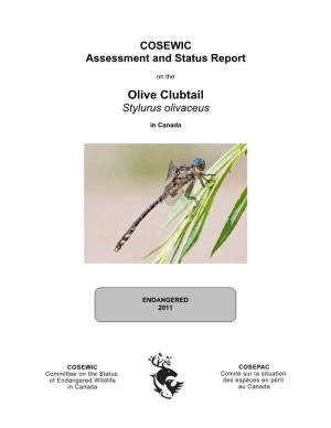 Olive Clubtail (Stylurus Olivaceus) in Canada, Prepared Under Contract with Environment Canada