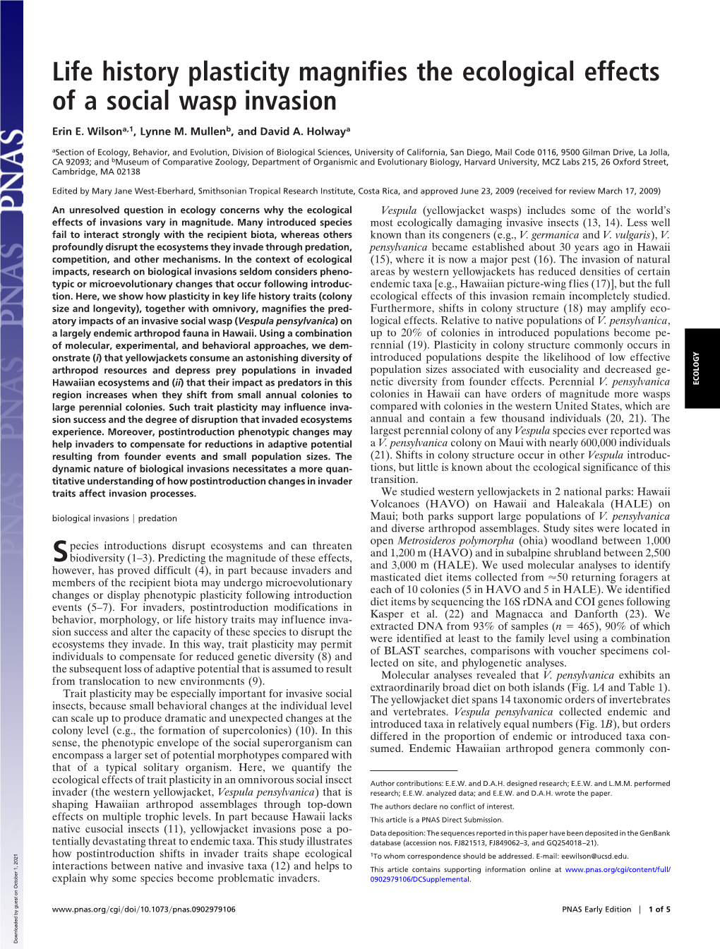 Life History Plasticity Magnifies the Ecological Effects of a Social Wasp Invasion