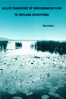 Paul Schot C H~ SOLUTE TRANSPORT by GROUNDWATER FLOW to WETLAND ECOSYSTEMS Omslag: Het Naardermeer