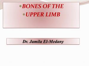 Bones of Upper Limb