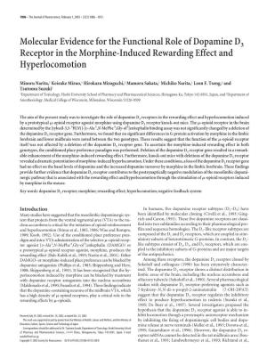 Molecular Evidence for the Functional Role of Dopamine D3 Receptor in the Morphine-Induced Rewarding Effect and Hyperlocomotion