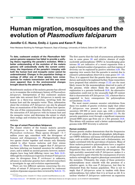 Human Migration, Mosquitoes and the Evolution of Plasmodium Falciparum