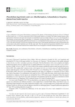 Planothidium Lagerheimii Comb. Nov. (Bacillariophyta, Achnanthales) a Forgotten Diatom from South America
