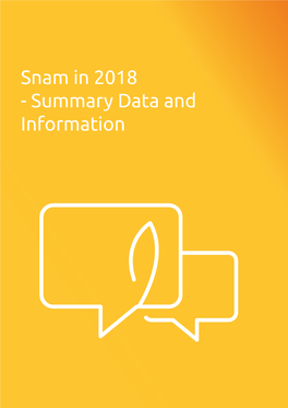 Snam in 2018 - Summary Data and Information