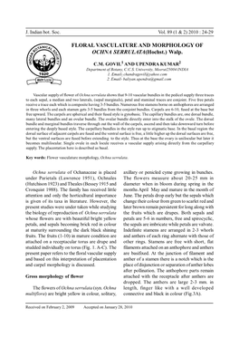 FLORAL VASCULATURE and MORPHOLOGY of OCHNA SERRULATA(Hochst.) Walp