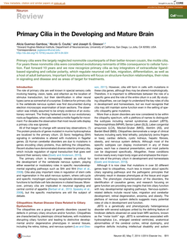 Primary Cilia in the Developing and Mature Brain