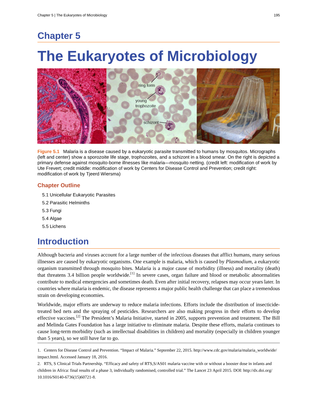 The Eukaryotes of Microbiology 195