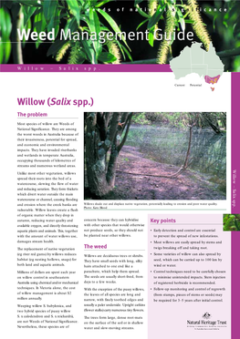 Willow (Salix Spp.) the Problem