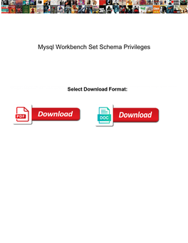 Mysql Workbench Set Schema Privileges