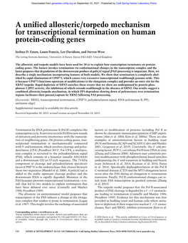 A Unified Allosteric/Torpedo Mechanism for Transcriptional Termination on Human Protein-Coding Genes