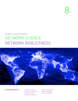 Network Robustness
