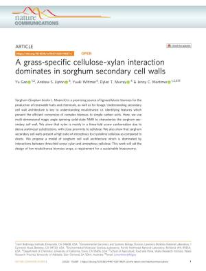 Xylan Interaction Dominates in Sorghum Secondary Cell Walls ✉ Yu Gao 1,2, Andrew S