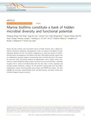 Marine Biofilms Constitute a Bank of Hidden Microbial Diversity And