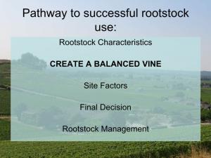 Pathway to Successful Rootstock Use: Rootstock Characteristics