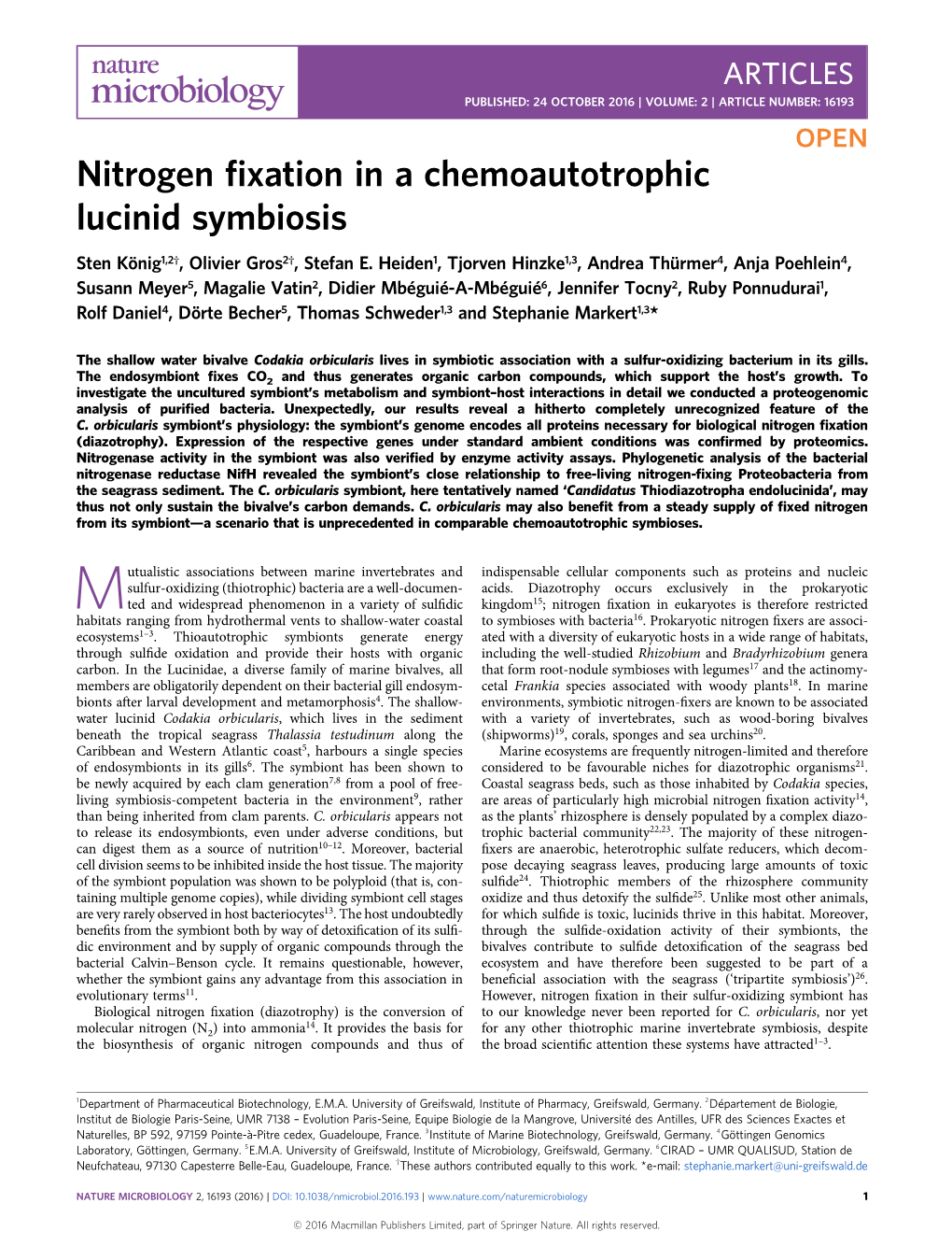 Nitrogen Fixation in a Chemoautotrophic Lucinid Symbiosis