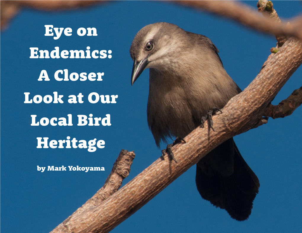 Eye on Endemics: a Closer Look at Our Local Bird Heritage