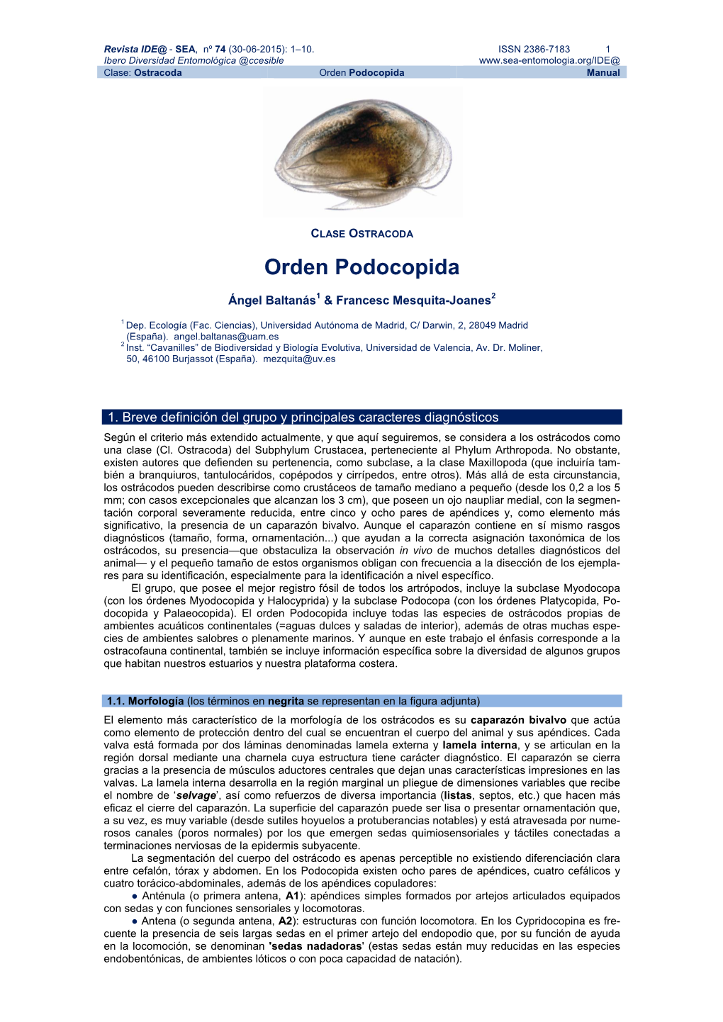 CLASE OSTRACODA. Orden Podocopida