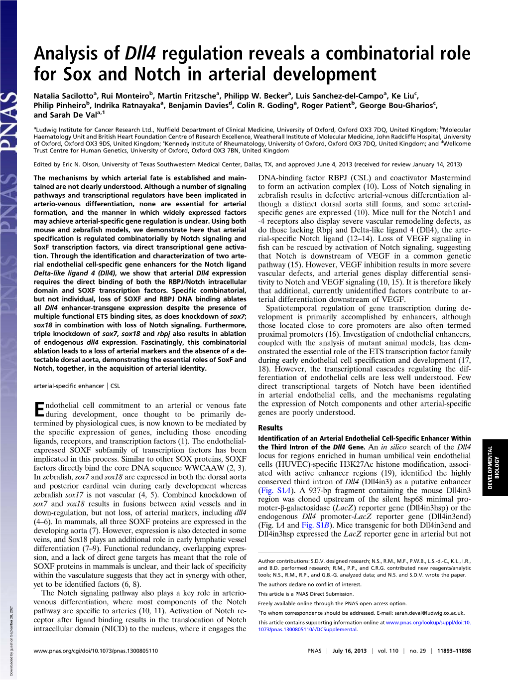 Analysis of Dll4 Regulation Reveals a Combinatorial Role for Sox and Notch in Arterial Development