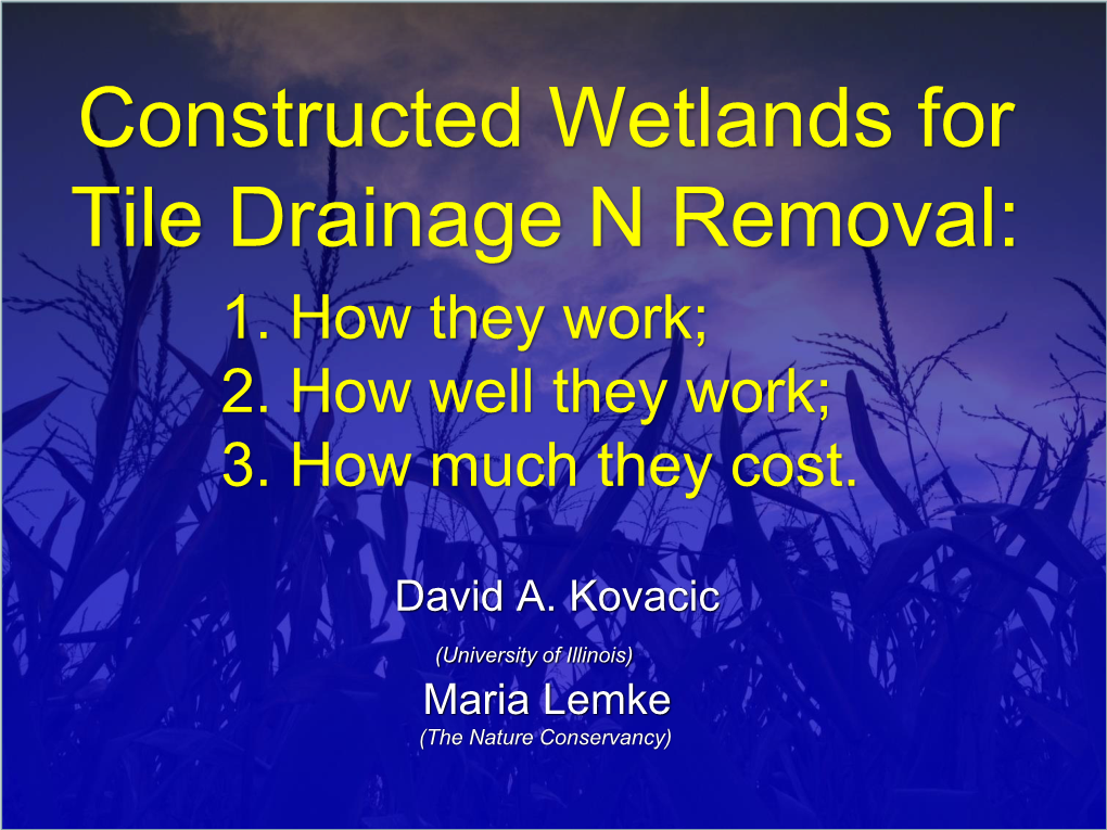 Constructed Wetlands for Nutrient Removal