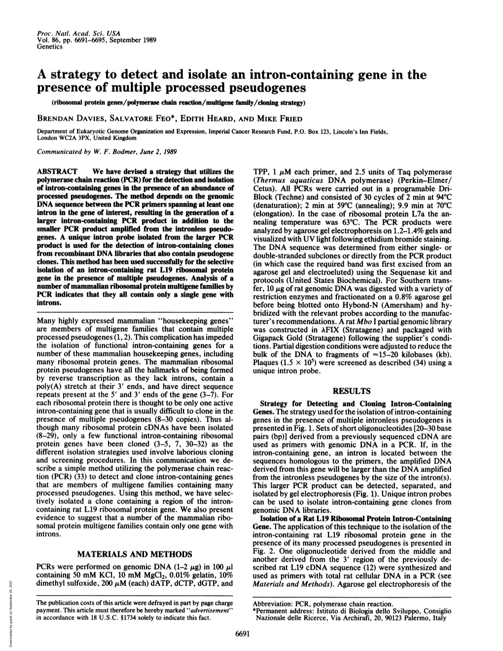 A Strategy to Detect and Isolate an Intron-Containing Gene in The