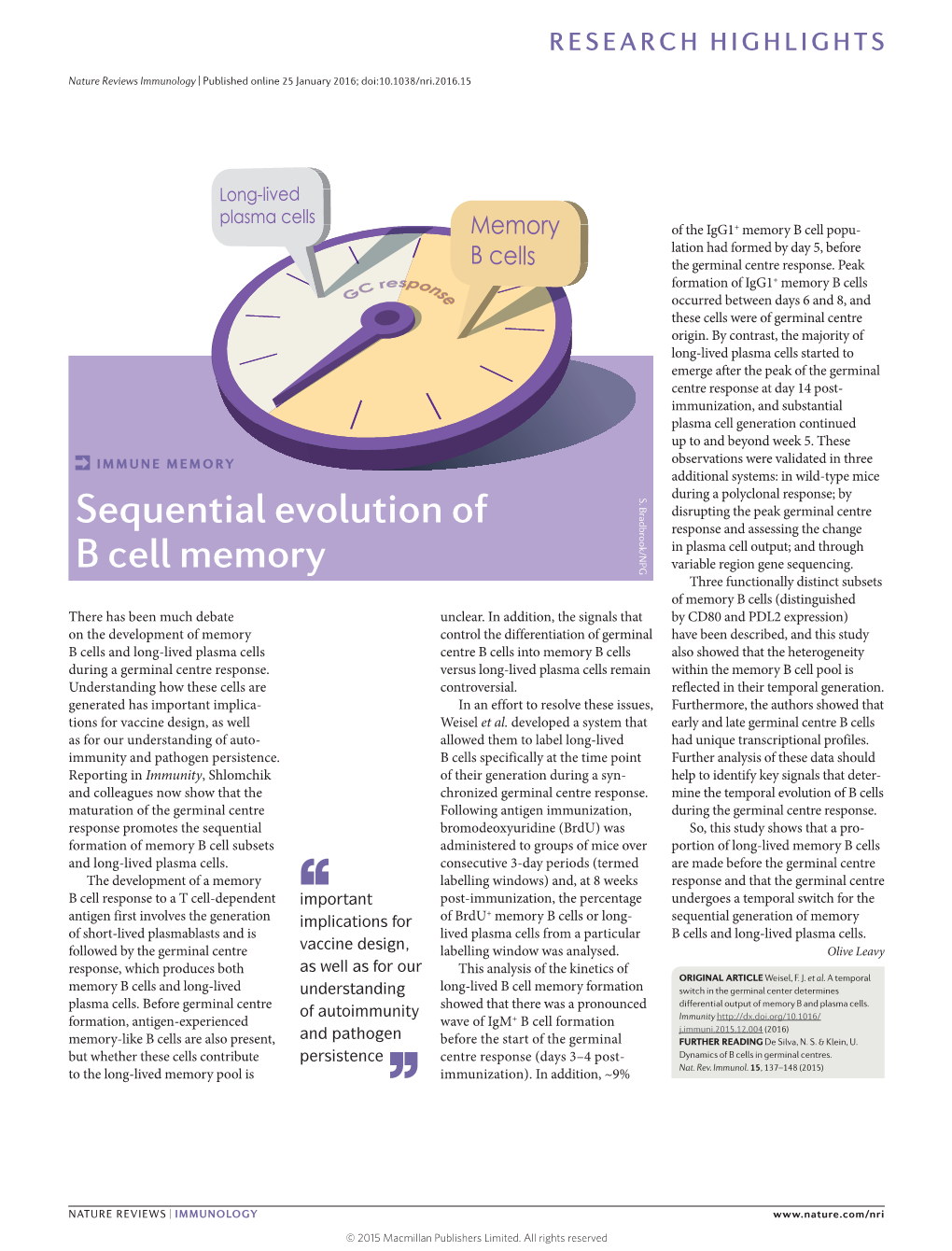 Sequential Evolution of B Cell Memory