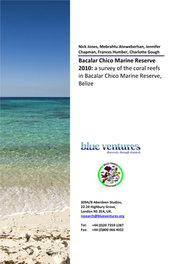 Bacalar Chico Marine Reserve 2010: a Survey of the Coral Reefs in Bacalar Chico Marine Reserve, Belize