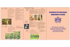Integrated Pest and Disease Management in Ginger