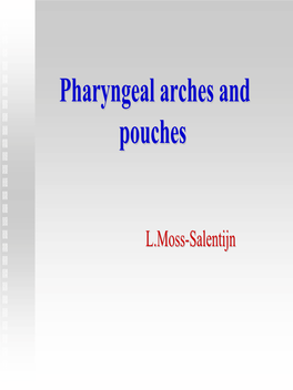 Pharyngeal Arches and Pouches