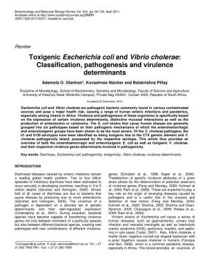 Toxigenic Escherichia Coli and Vibrio Cholerae : Classification, Pathogenesis and Virulence Determinants
