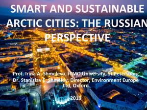 Smart and Sustainable Arctic Cities: the Russian Perspective