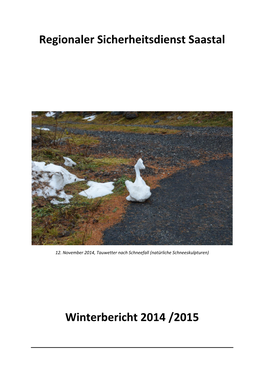 Regionaler Sicherheitsdienst Saastal Winterbericht 2014 /2015