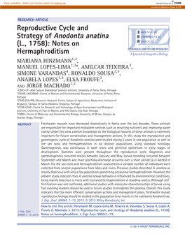 Reproductive Cycle and Strategy of Anodonta Anatina