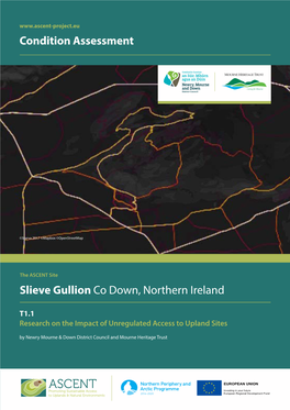 Slieve Gullion Co Down, Northern Ireland Condition Assessment