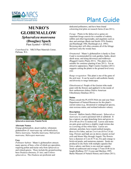 Munro's Globemallow Plant Guide