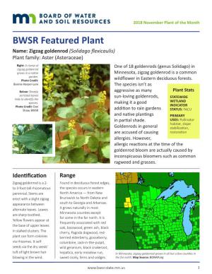BWSR Featured Plant