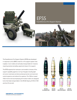 Expeditionary Fire Support System