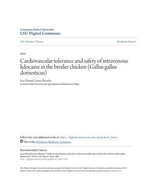 Cardiovascular Tolerance and Safety of Intravenous Lidocaine in the Broiler
