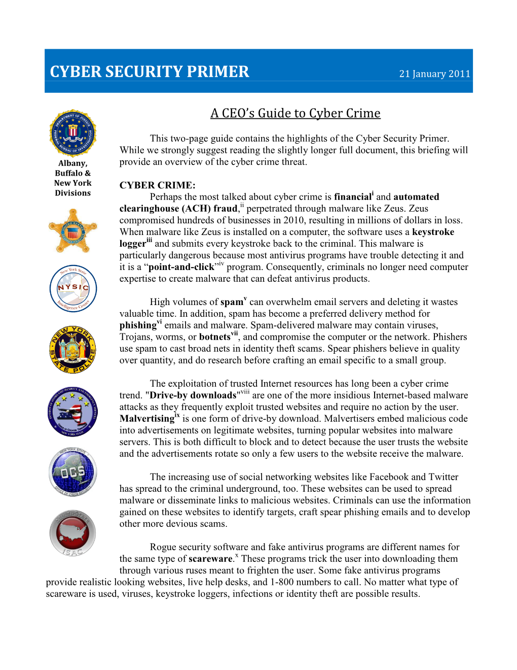 CYBER SECURITY PRIMER 21 January 2011