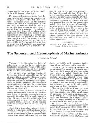 The Settlement and Metamorphosis of Marine Animals