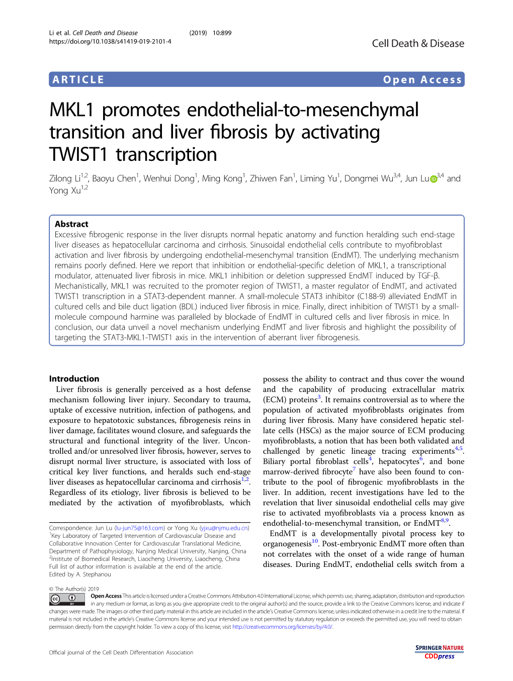 MKL1 Promotes Endothelial-To-Mesenchymal
